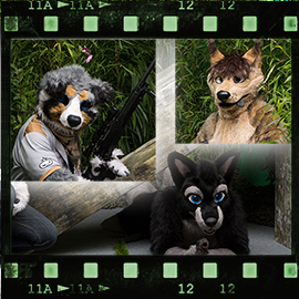 Eurofurence 2015 fursuit photoshoot. Preview picture of Jumpy, SGKia, Codydog